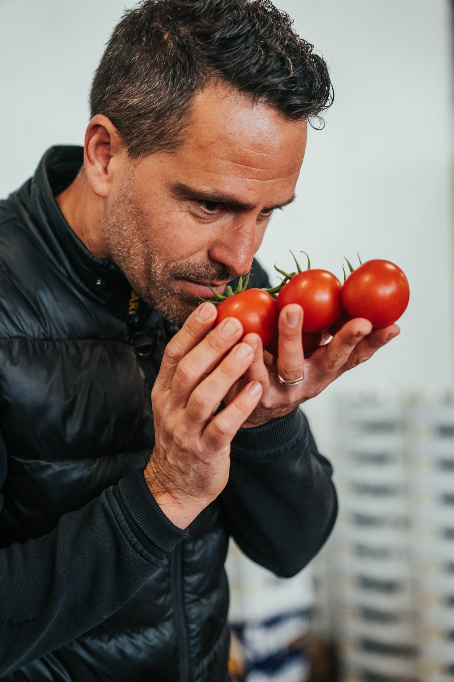 Patron sentant une grappe de tomates